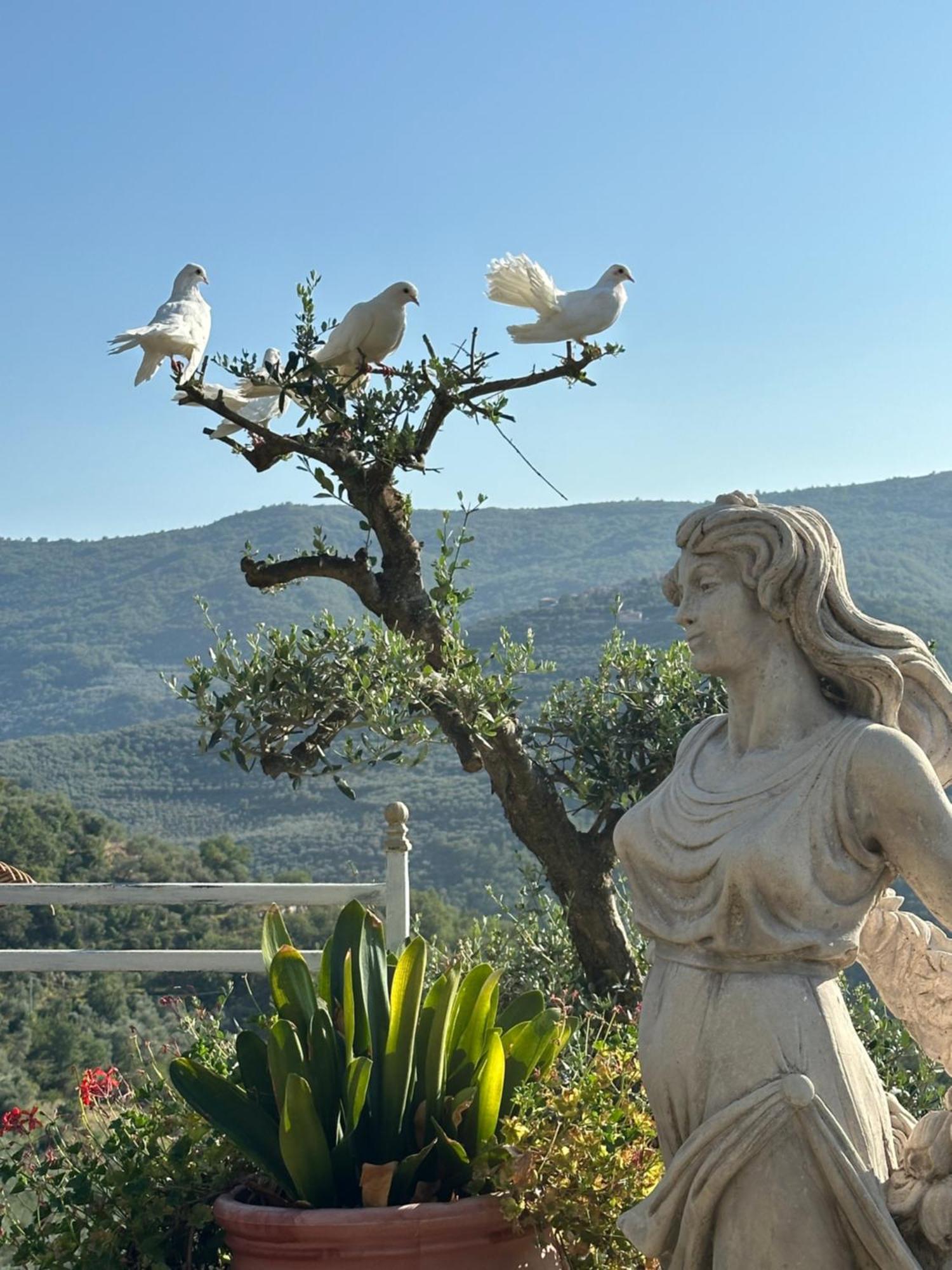 Villa Anna Torria Luaran gambar