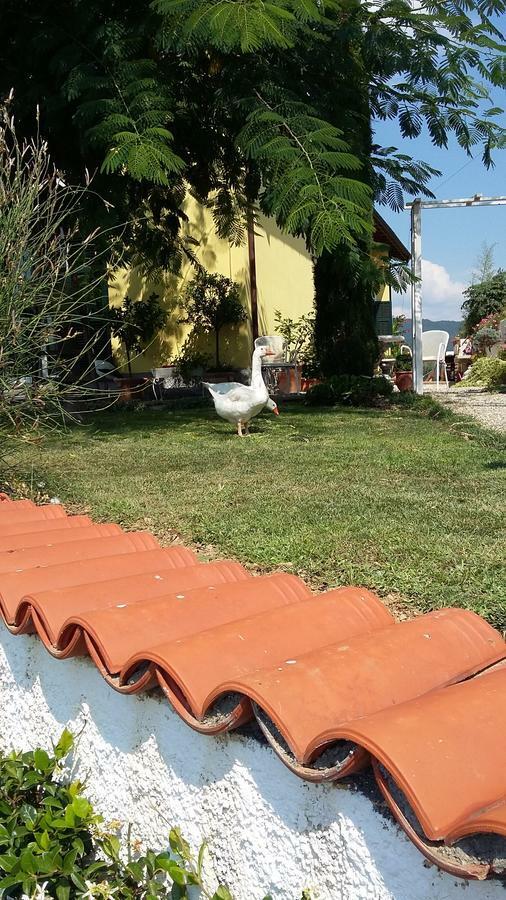 Villa Anna Torria Luaran gambar